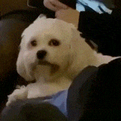 写作人快来看这是你吗