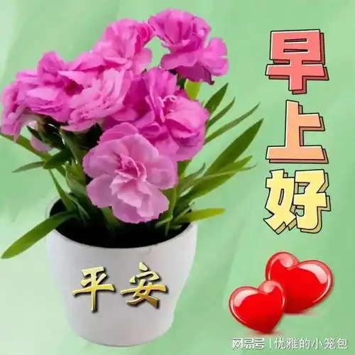 20231021今六最新早上好动画表情包2023创意好看的