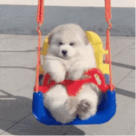 斗图表情包精选