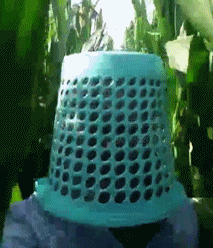 逗我呢表情包搞笑gif