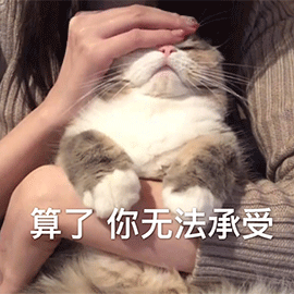 动态斗图表情包搞笑狗分