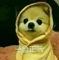 如何评价搭载yunos的纽曼纽扣手机