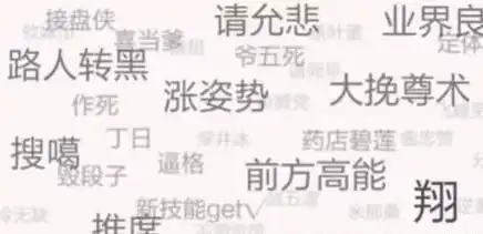 日本推特正火热科普中国网络用语这波文化输出厉害了