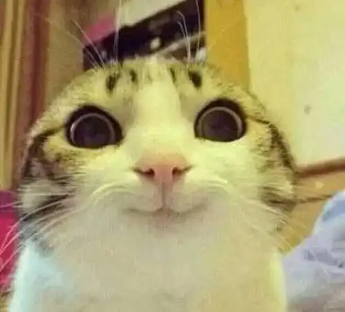 搞笑工地各岗位的表情包一览表,笑趴了