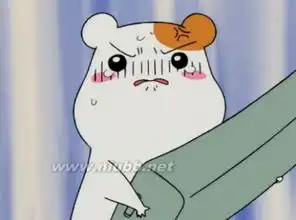 hiit可以每天做吗适当休息让身体燃烧更多脂肪