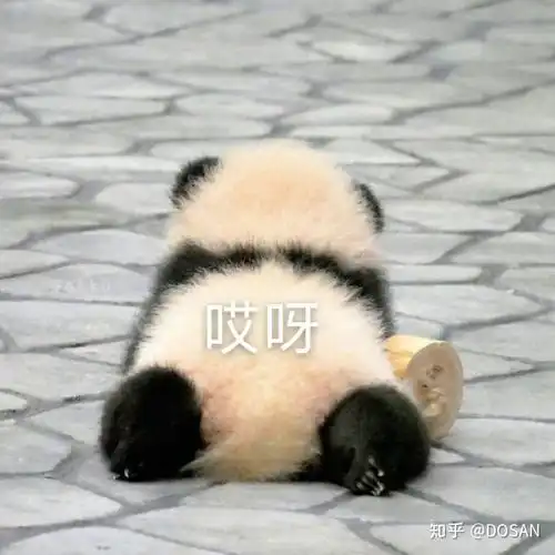 大哥霍皮久系列表情包表