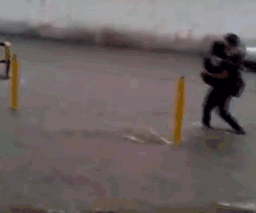 人如果没有理想,和咸鱼有什么分别