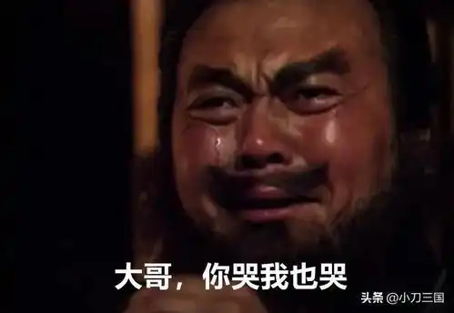 刘备自传第七话