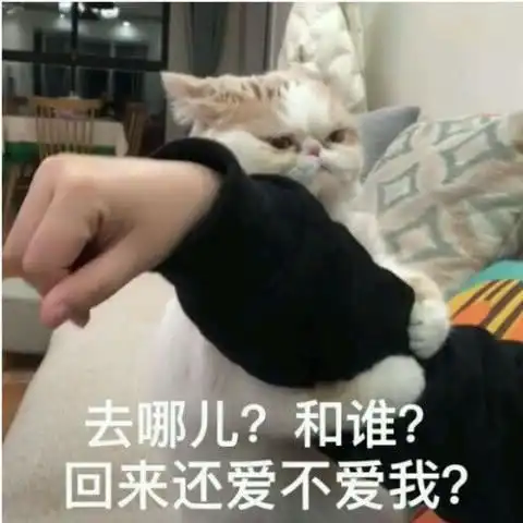 超可爱表情包秀恩爱情侣专用,这么可爱的女朋友在哪领的