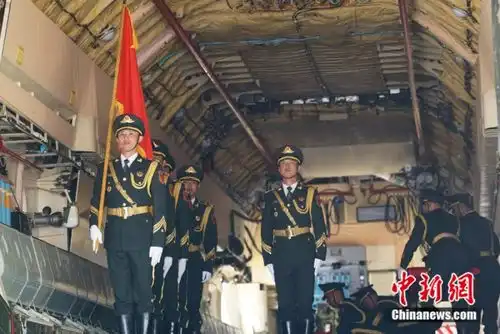 欢迎回家图片表情包礼兵