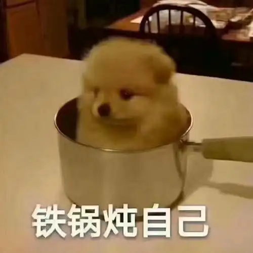 铁锅炖自己表情包集生气