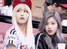 搞笑gif完了我偷拍被发现怎么办