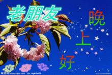 晚安心语唯美句子晚安问候正能量