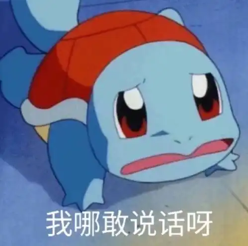 杰尼龟收到敬礼表情包