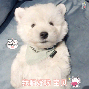 抖音最火斗图表情包