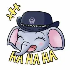 萌力爆棚云南国安卡通ip形象象强强象安安上线啦