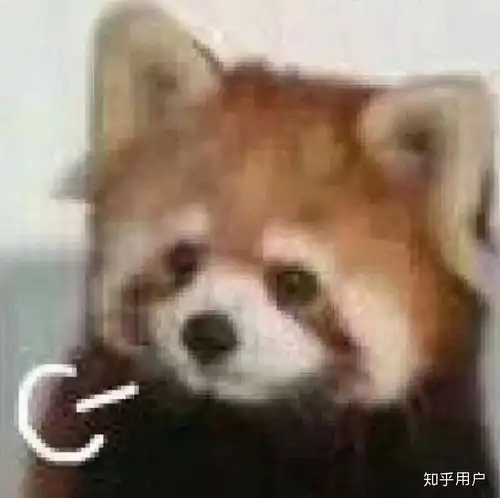 有个脾气暴躁的父亲是怎样的体验