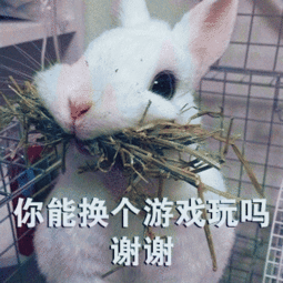 搞笑游戏兔表情包,