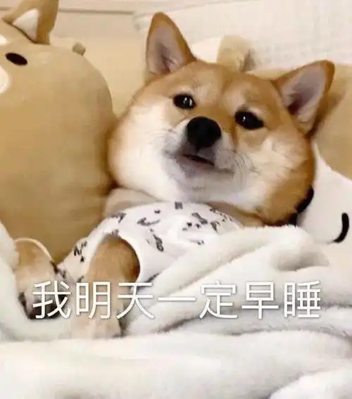 我们潜入了x个民大宿舍内部,调查发现