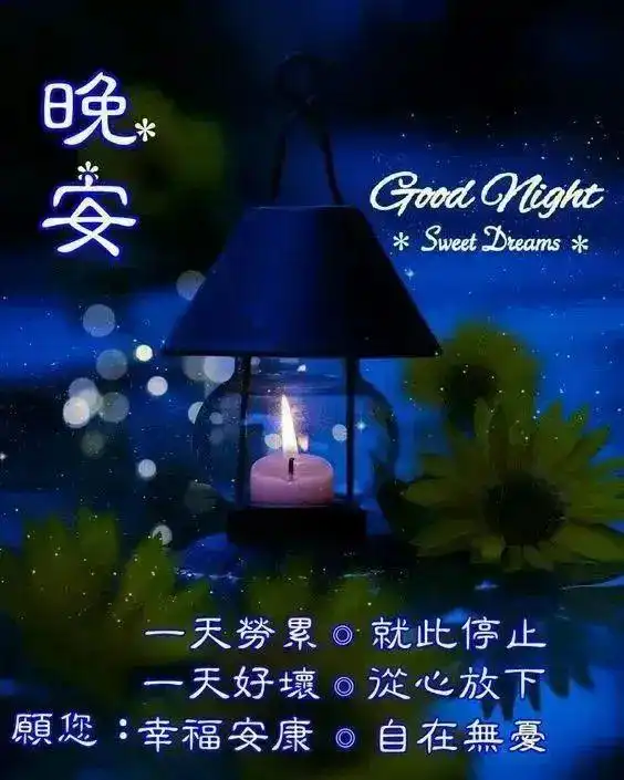 晚安温馨问候语,晚上好的经典祝福句子