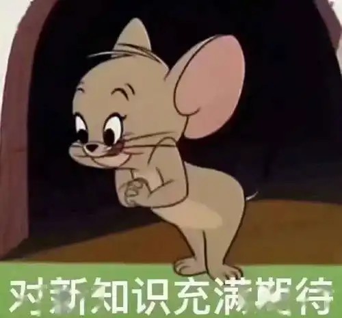 眨眼wink表情包gif猫和