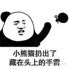 恶搞表情包熊猫小熊猫