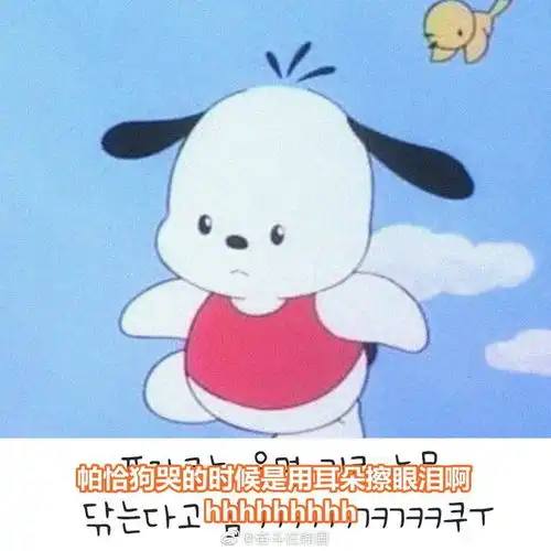 可爱住了帕恰狗哭的时候使用耳朵擦眼泪