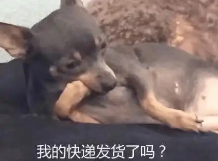 趣图表情包暴走图片抬杠