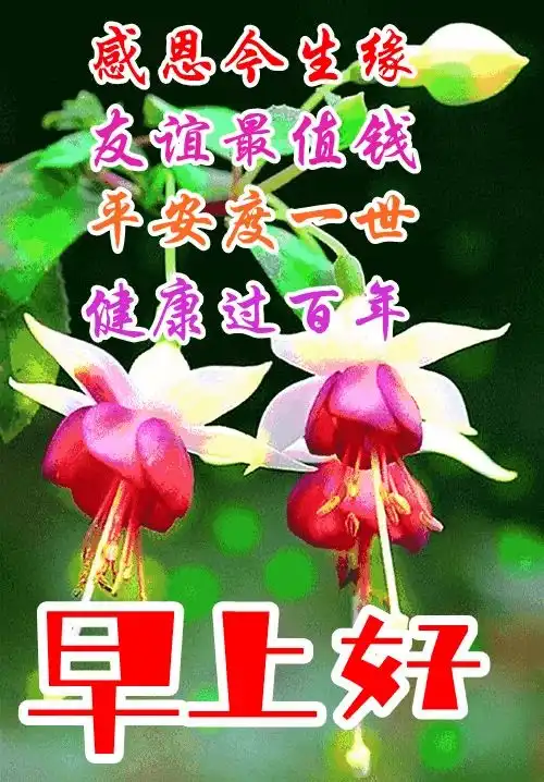 早上好表情包,问候朋友,感恩今生遇见你,幸福快乐无忧虑