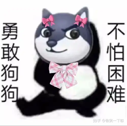 你们用网易云多还是qq音乐多