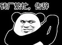 夏天多肉都绿了别怕多肉雷锋来为你找回自信