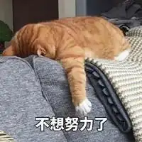 肾亏表情包表情包