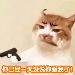 表情包你表情包太多,不想和你聊了