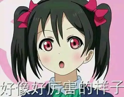 大红鹰dhy登录界面中国ios安卓版手机app官网下载v4.22.42