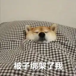 理院小确幸小理完全过冬攻略