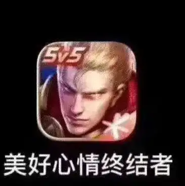 去你的妈的表情包王者荣