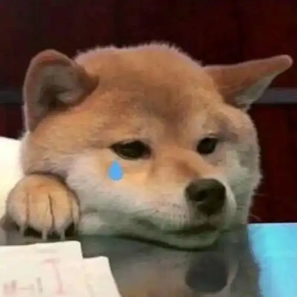 搞笑表情包你怎么回事,小老妹