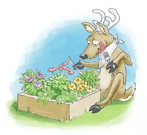 种花种草不如种菜妈妈和小朋友一起种的一米菜园