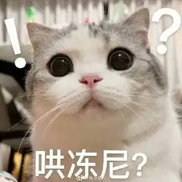 小拳拳捶你胸口丨第126期喵表情