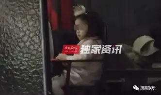 娱乐日报霍思燕二胎曝光李胜利郑俊英接受警方调查周杰批判尔康表情包