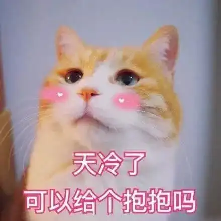 我要抱抱表情包猫咪