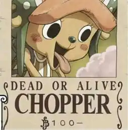 海贼王被小瞧4悬赏令,乔巴屈辱100贝利,另一位500贝利