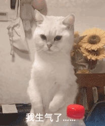 搞笑gif段子一个人怎么打乒乓球,答这样就可以了