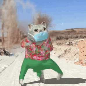 憨憨猫跳舞系列表情包奇怪的跳舞知识增加了