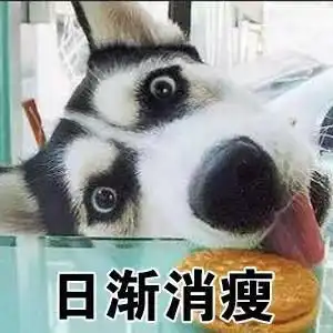 我从来没有见过,这么装逼的哈士奇表情包,有了它称霸装逼界