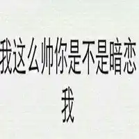 qq表情包污微信表情包