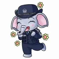 萌力爆棚云南国安卡通ip形象象强强象安安上线啦