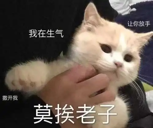 台风快讯来了端午将有雨雨雨雨雨