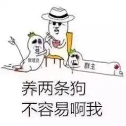 十条段子我就喜欢你们年轻人这股劲,我招女婿也只为了钱