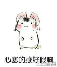 吓得我胸都掉了表情包仓